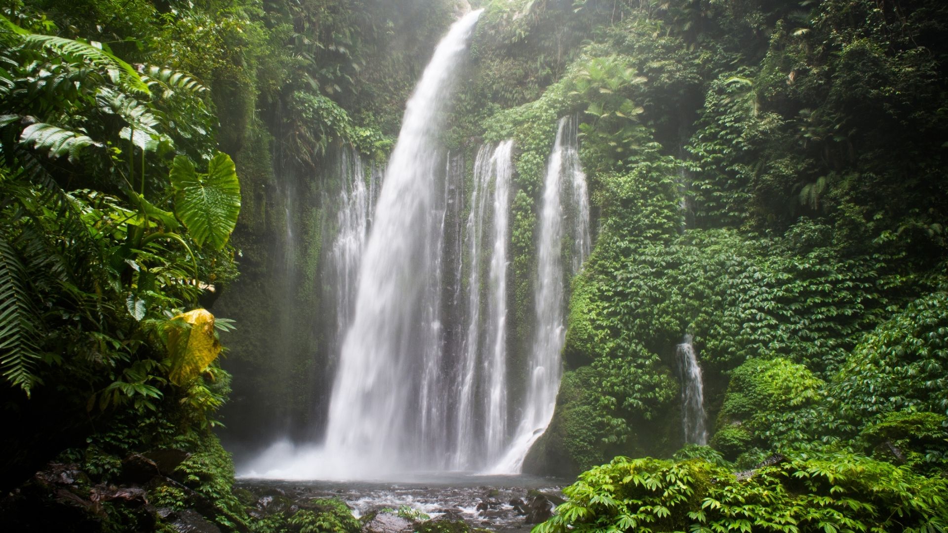 Lombok's Waterfalls