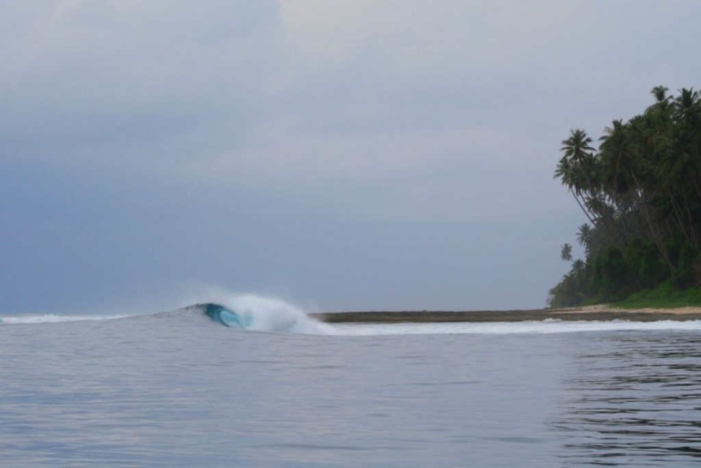 pulau simeulue-teabags