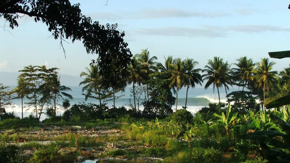 surf-indonesia